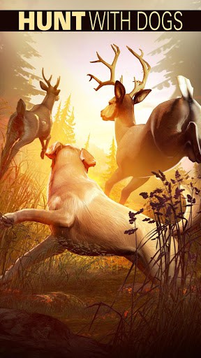 Deer Hunter 2018 (money) screenshot 0