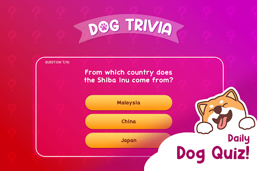 Dog Hotel Tycoon (Unlimited Gems, Collected Speed x100) screenshot 7