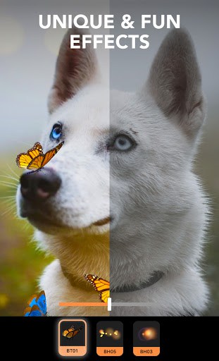 Motionleap - Photo Animator by Lightricks (Unlimited Money/Diamond) screenshot 2