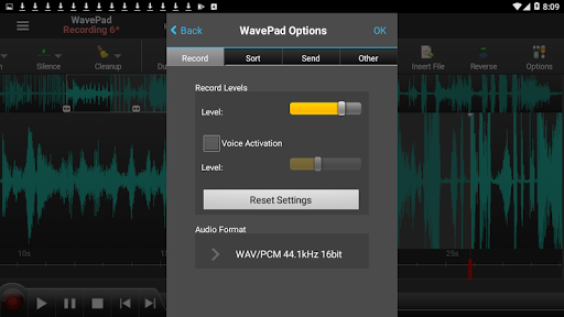 WavePad Audio Editor - Master's Edition (Paid for free) screenshot 4