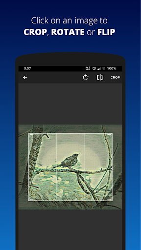 Image to PDF, jpg to pdf (Premium Unlocked) screenshot 2