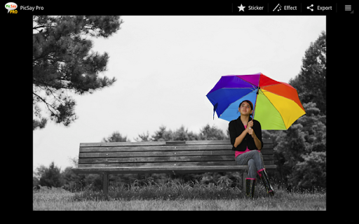 PicSay Pro - Photo Editor (Paid for free) screenshot 3
