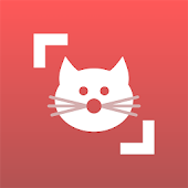 Cat Scanner: Breed Recognition (Premium Unlocked) medium icon