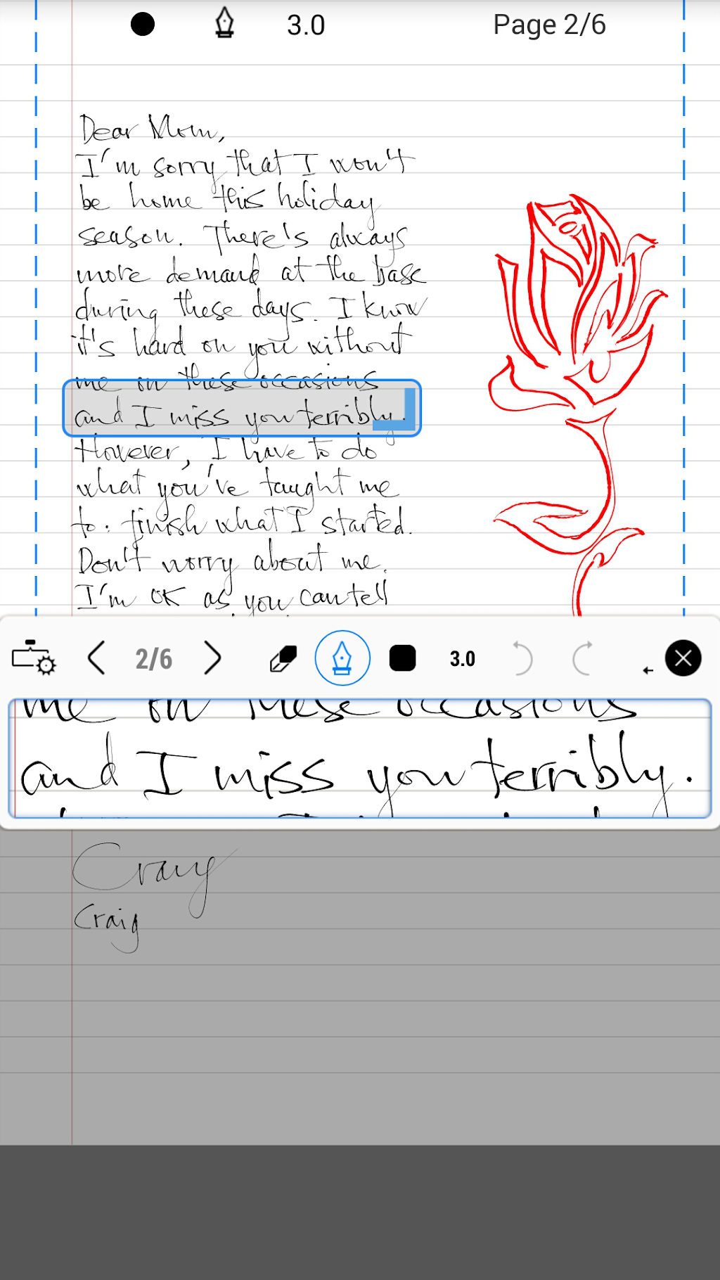 big screenshot 2